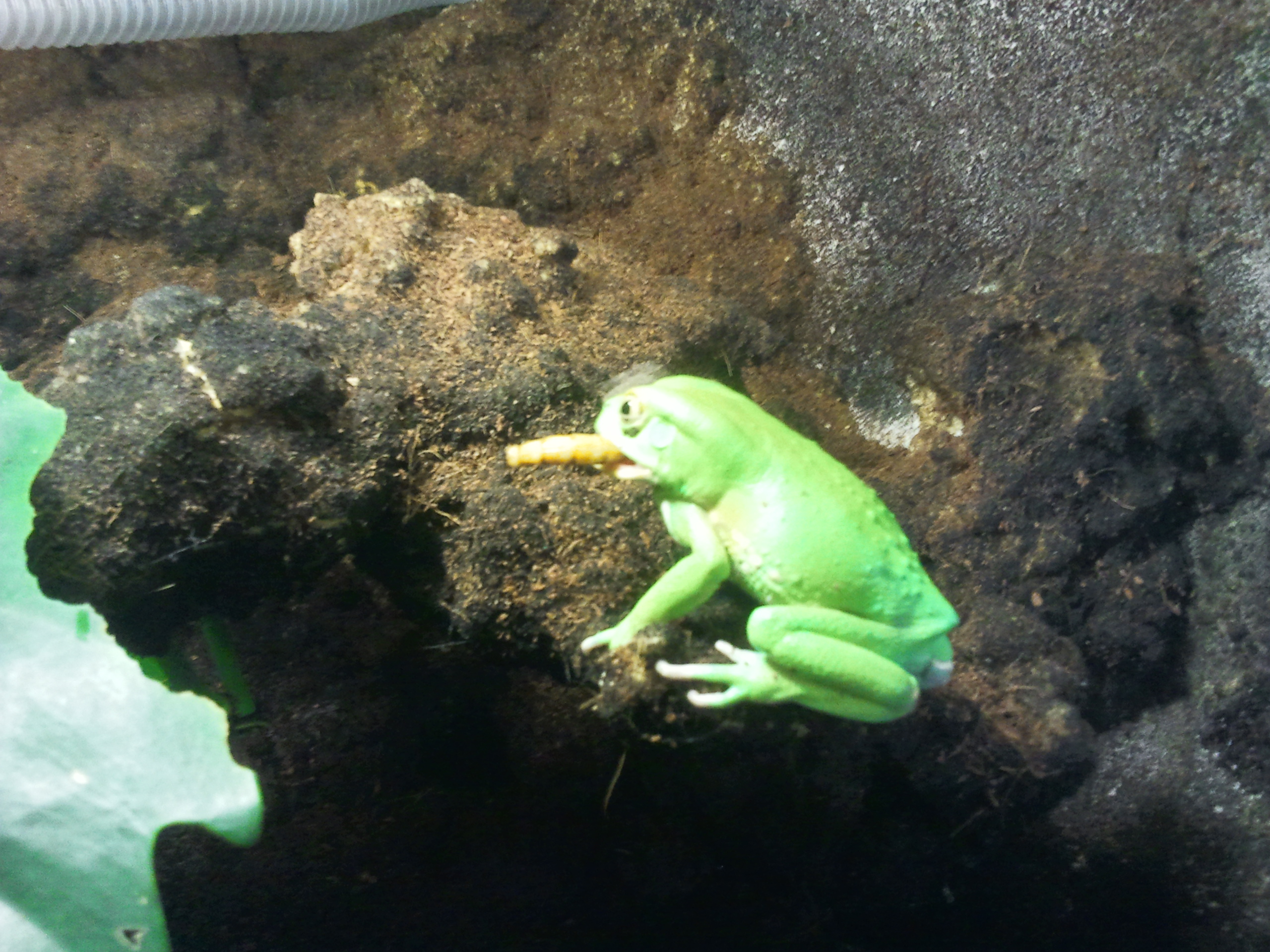 2012-12-29 10.52.39.jpg