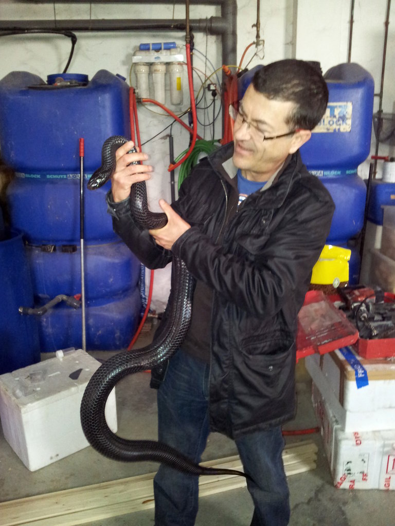 2013 02 16 12 50 27 1