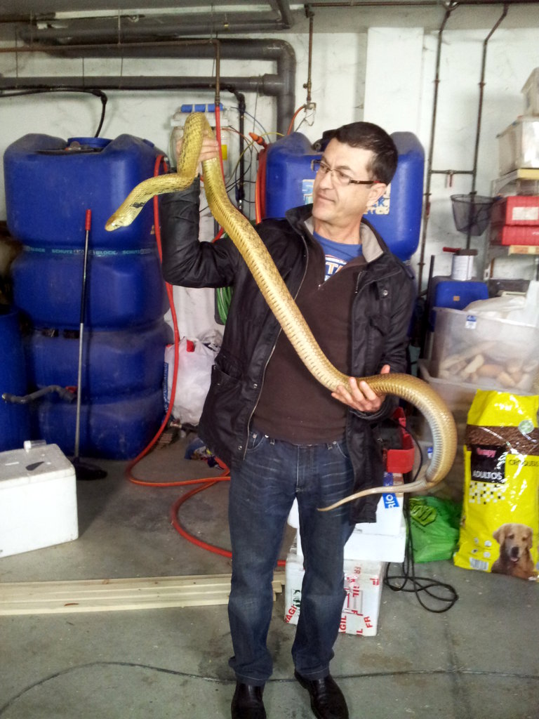 2013 02 16 12 53 23 1