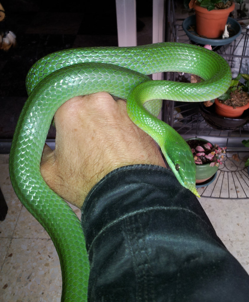 2013 04 20 10 49 51 1