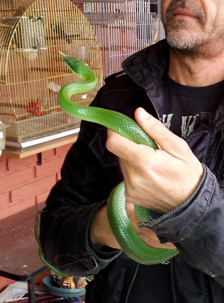 2013 04 20 10 50 24 1 2