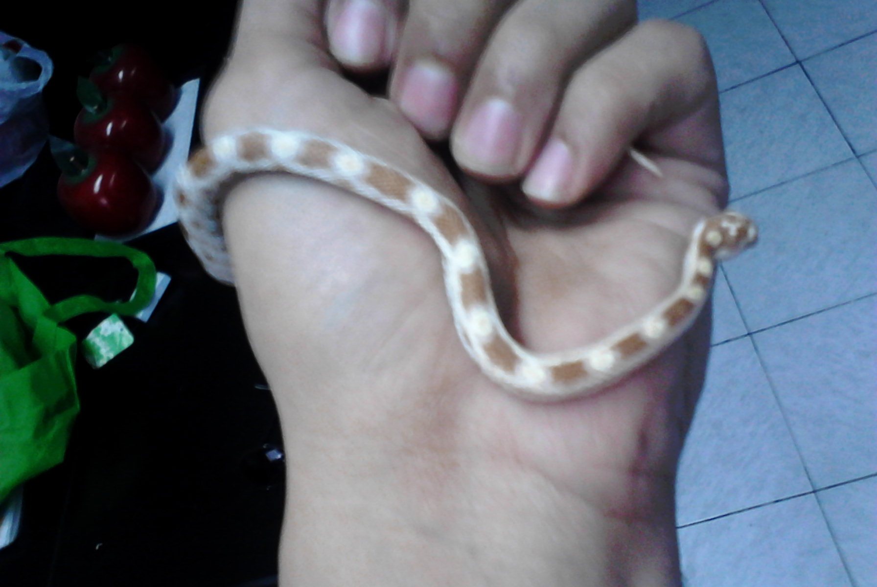 2013-05-03_12-39-03_148_Nuevo Laredo.jpg