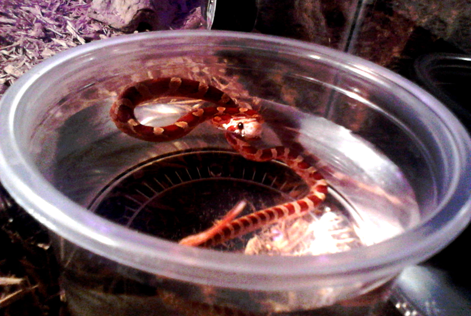 2013-05-07_14-08-38_7_Nuevo Laredo.jpg