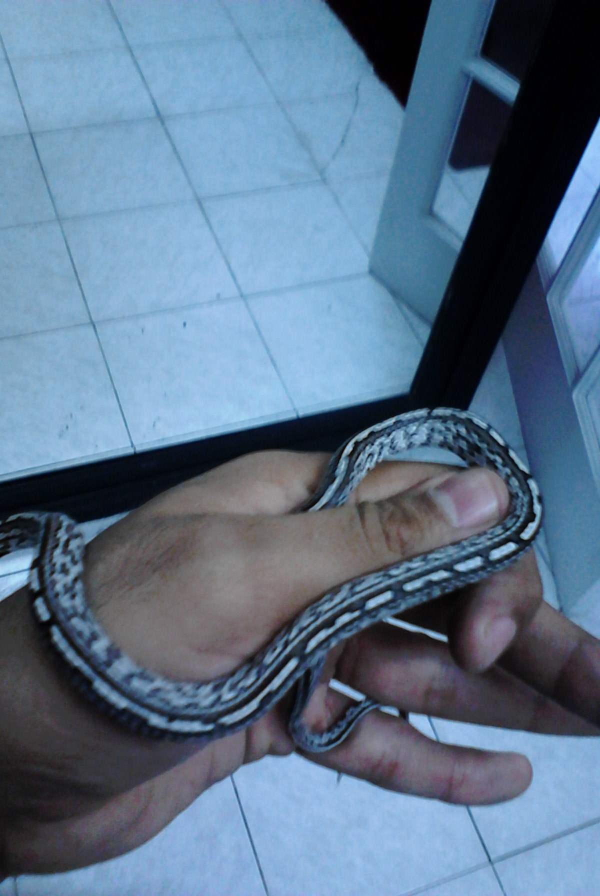 2013-05-22_11-27-23_79_Nuevo Laredo.jpg