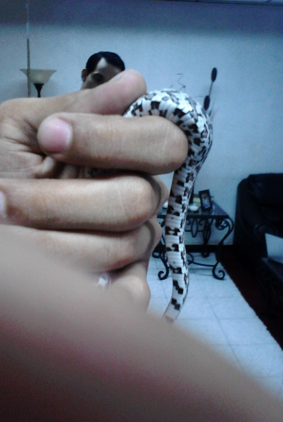 2013-05-22_11-27-39_494_Nuevo Laredo.jpg