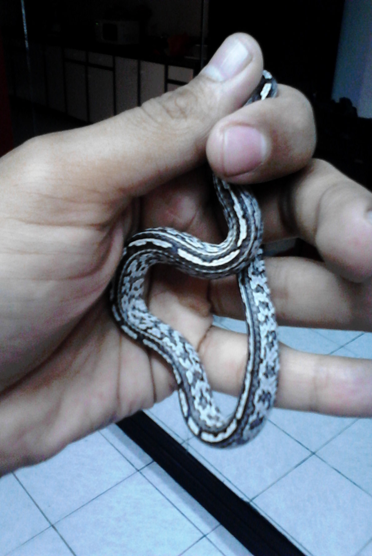 2013-05-22_11-30-28_235_Nuevo Laredo.jpg