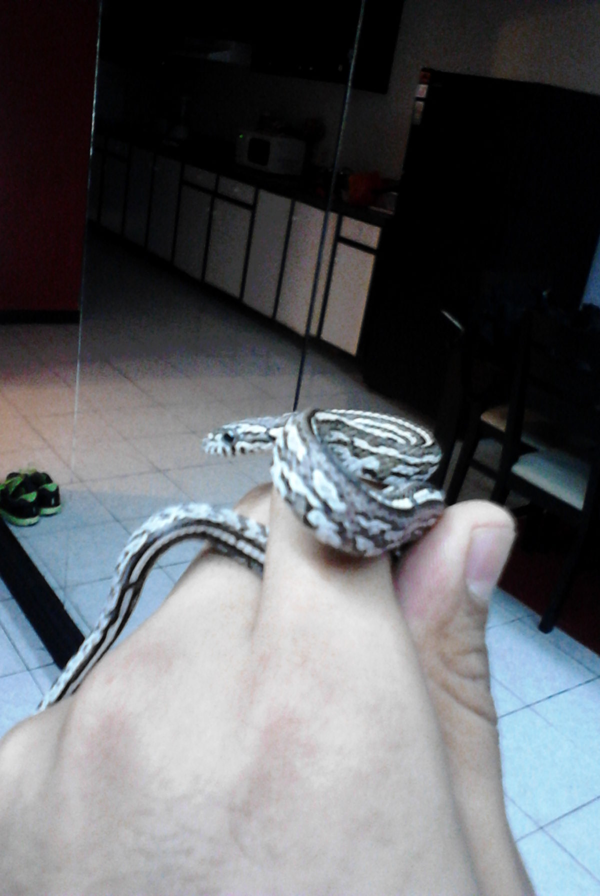 2013-05-22_11-30-59_248_Nuevo Laredo.jpg