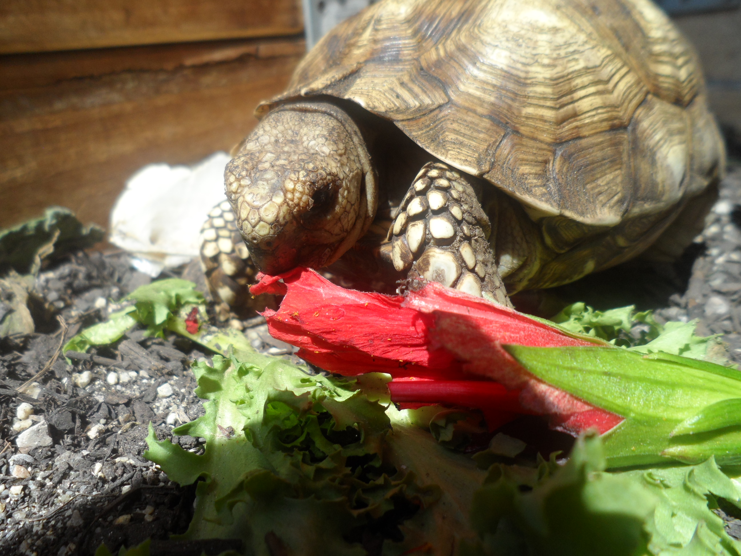 2013-06-26 20.05.43.jpg