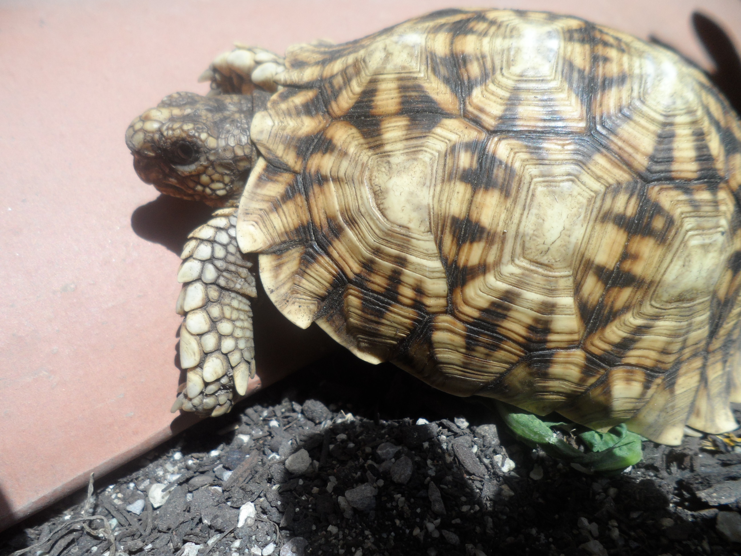 2013-06-26 20.06.36.jpg