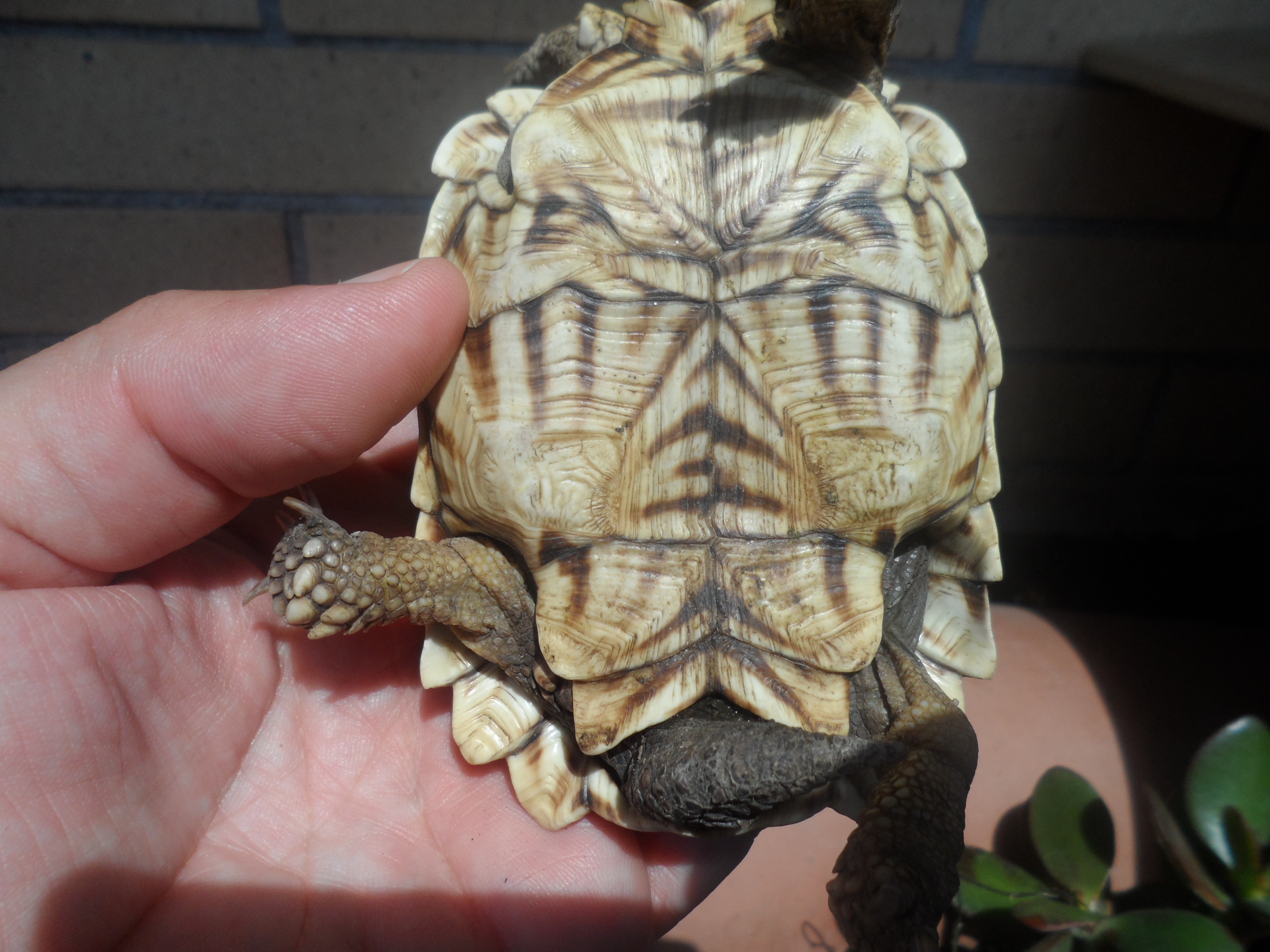 2013-06-26 20.07.04.jpg