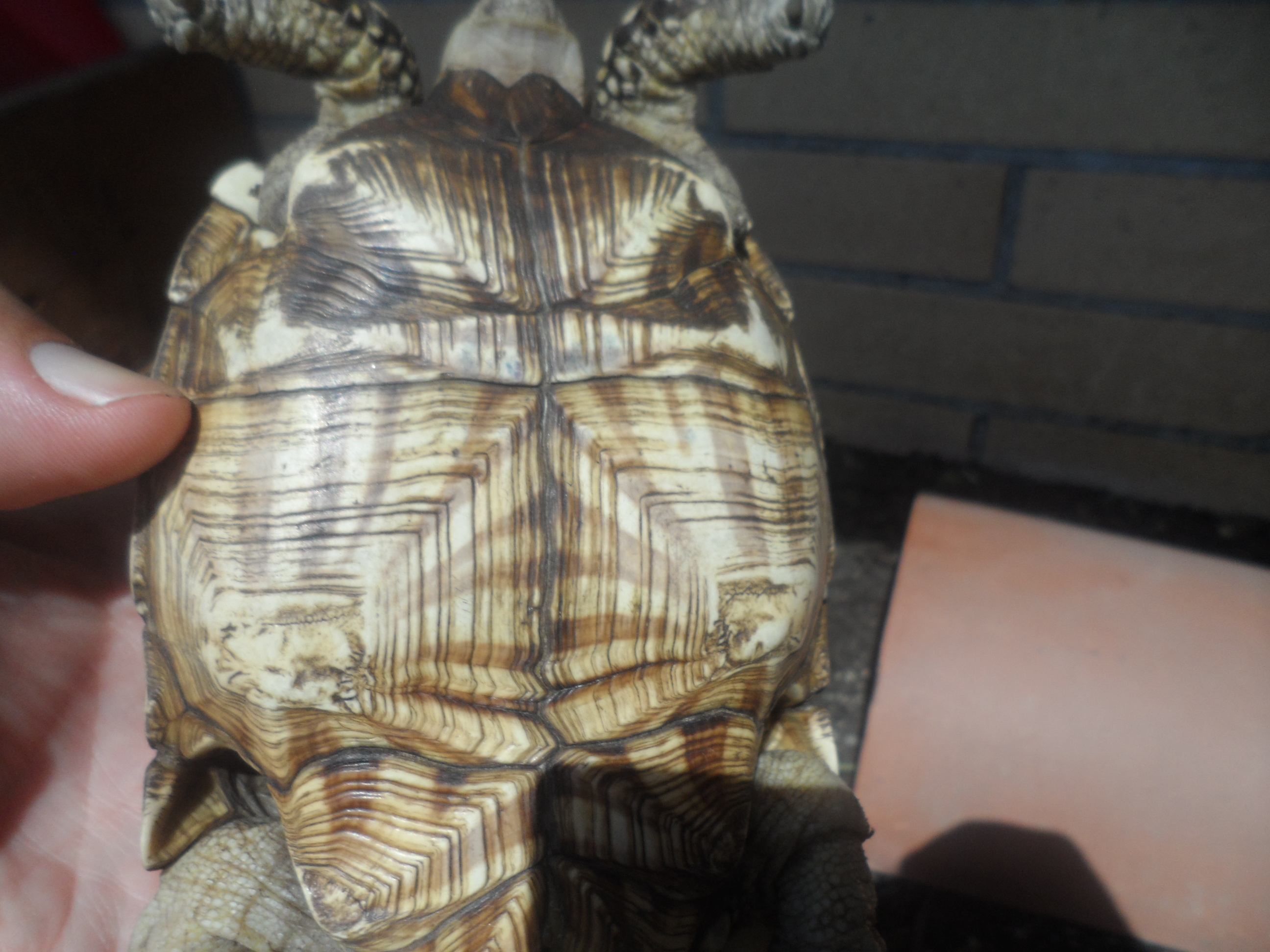 2013-06-26 20.07.30.jpg