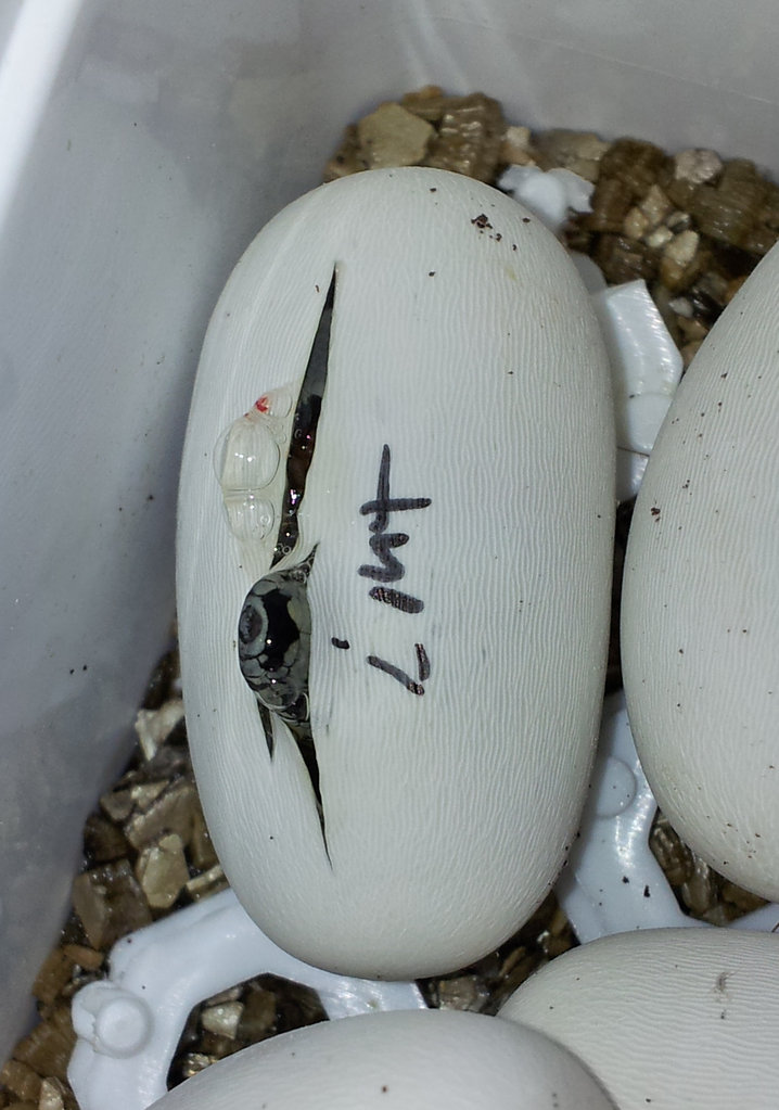 2013 07 06 20 46 00 1