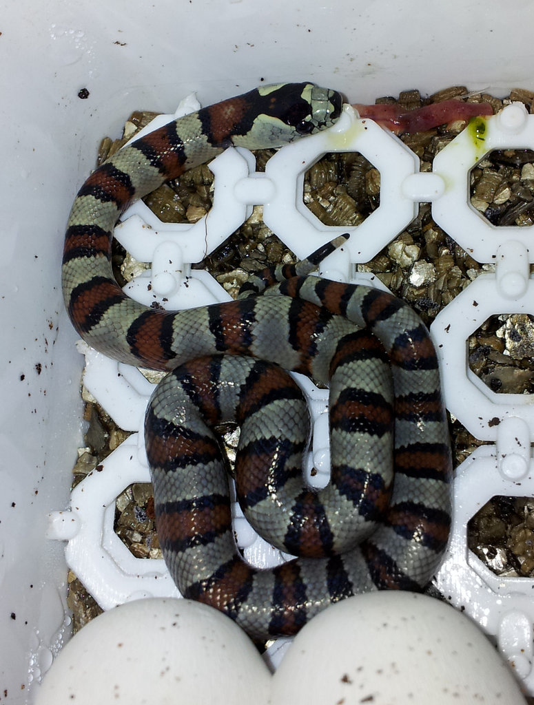 2013 07 08 00 03 37 1