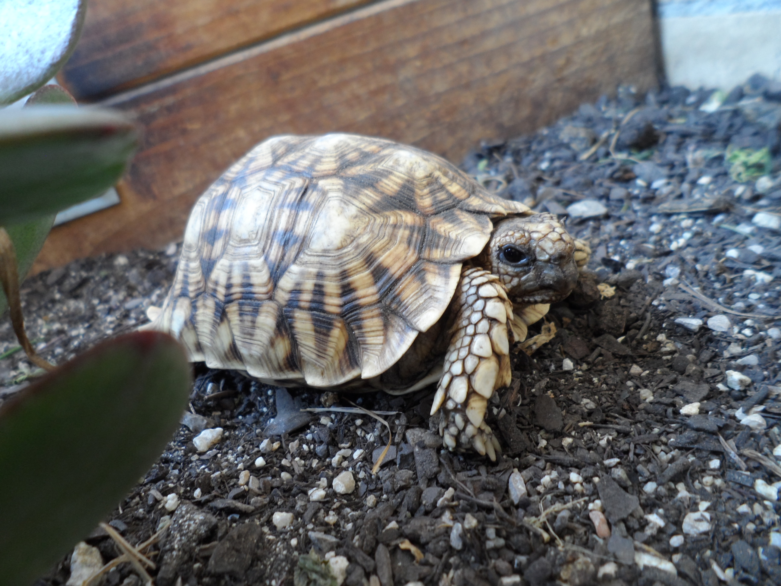 2013-07-08 21.03.49.jpg