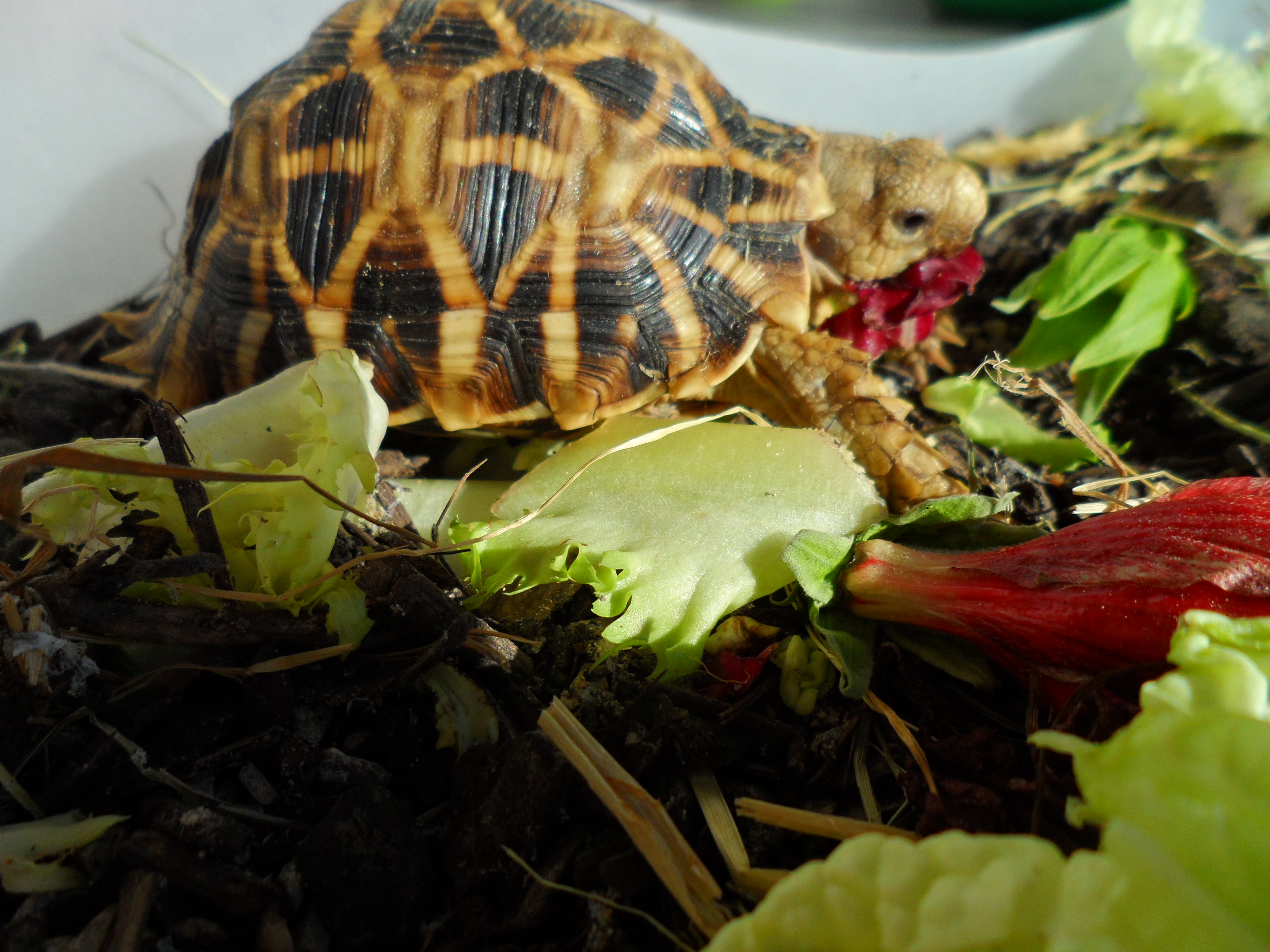 2013-09-05 17.28.42.jpg