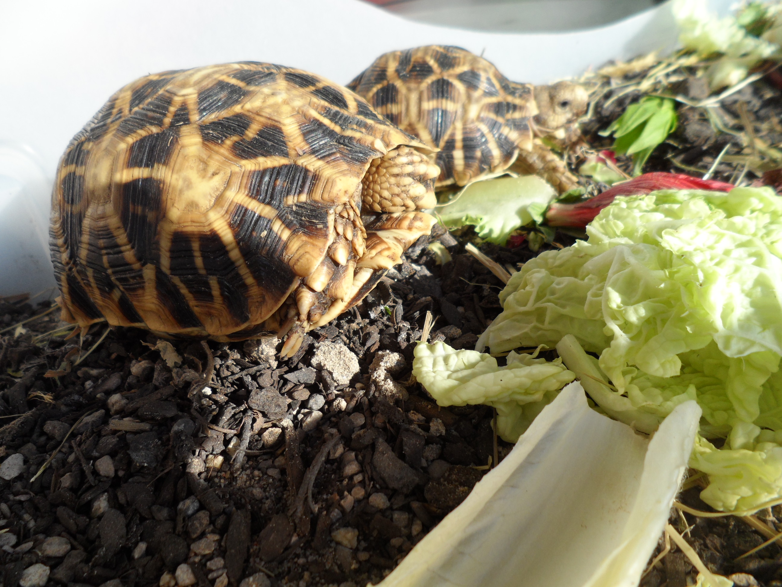 2013-09-05 17.29.19.jpg