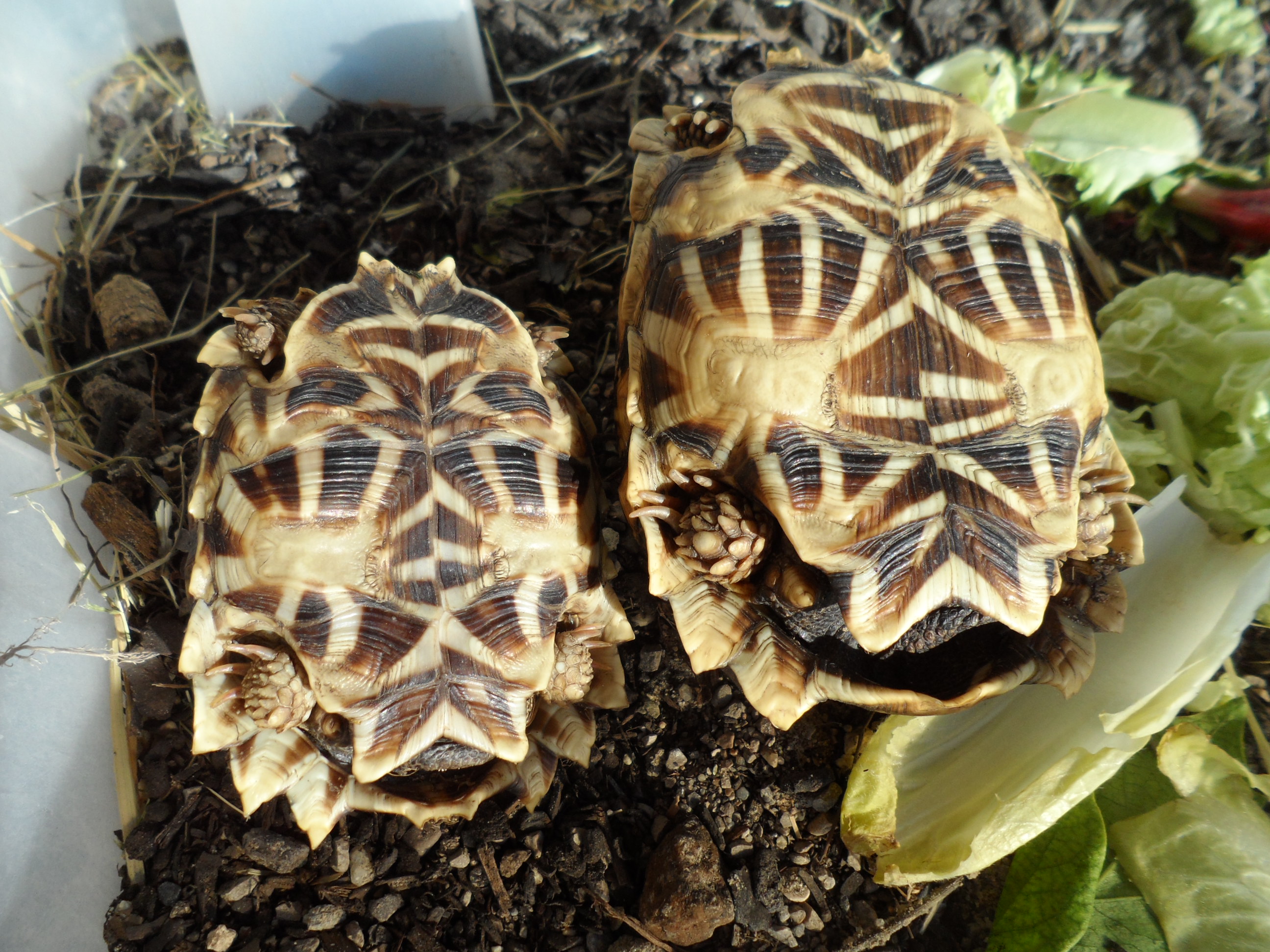 2013-09-05 17.29.57.jpg