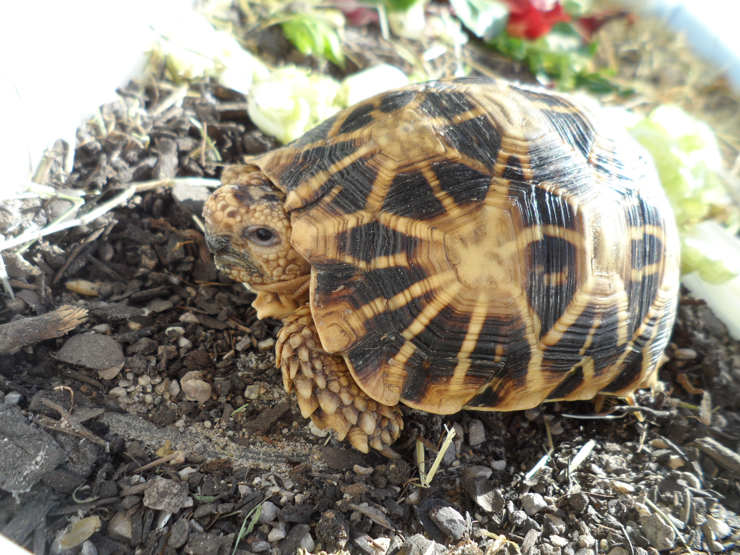 2013-09-05 17.32.39.jpg