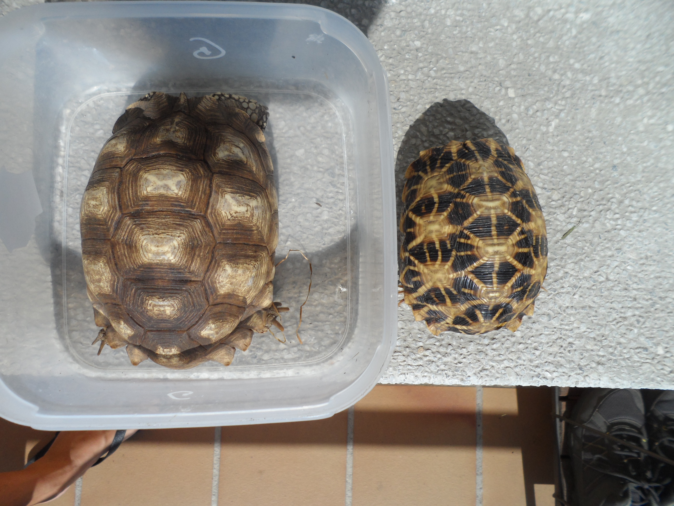 2013-09-06 19.23.45.jpg