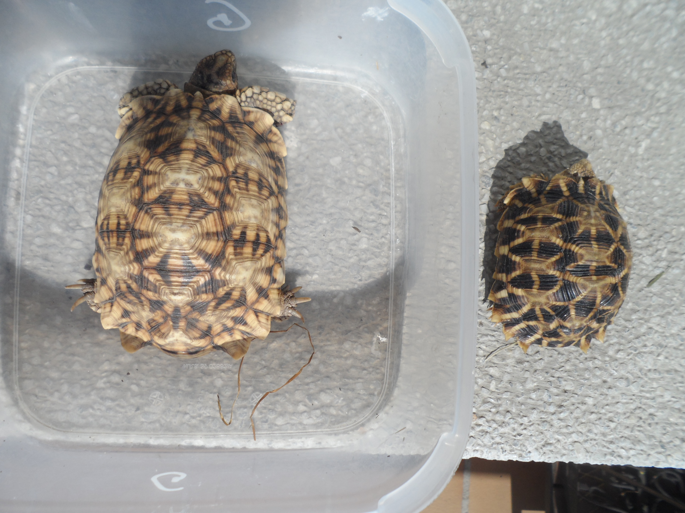 2013-09-06 19.24.35.jpg