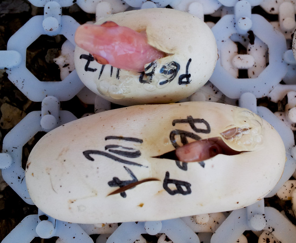 2013 09 10 15 18 13 1