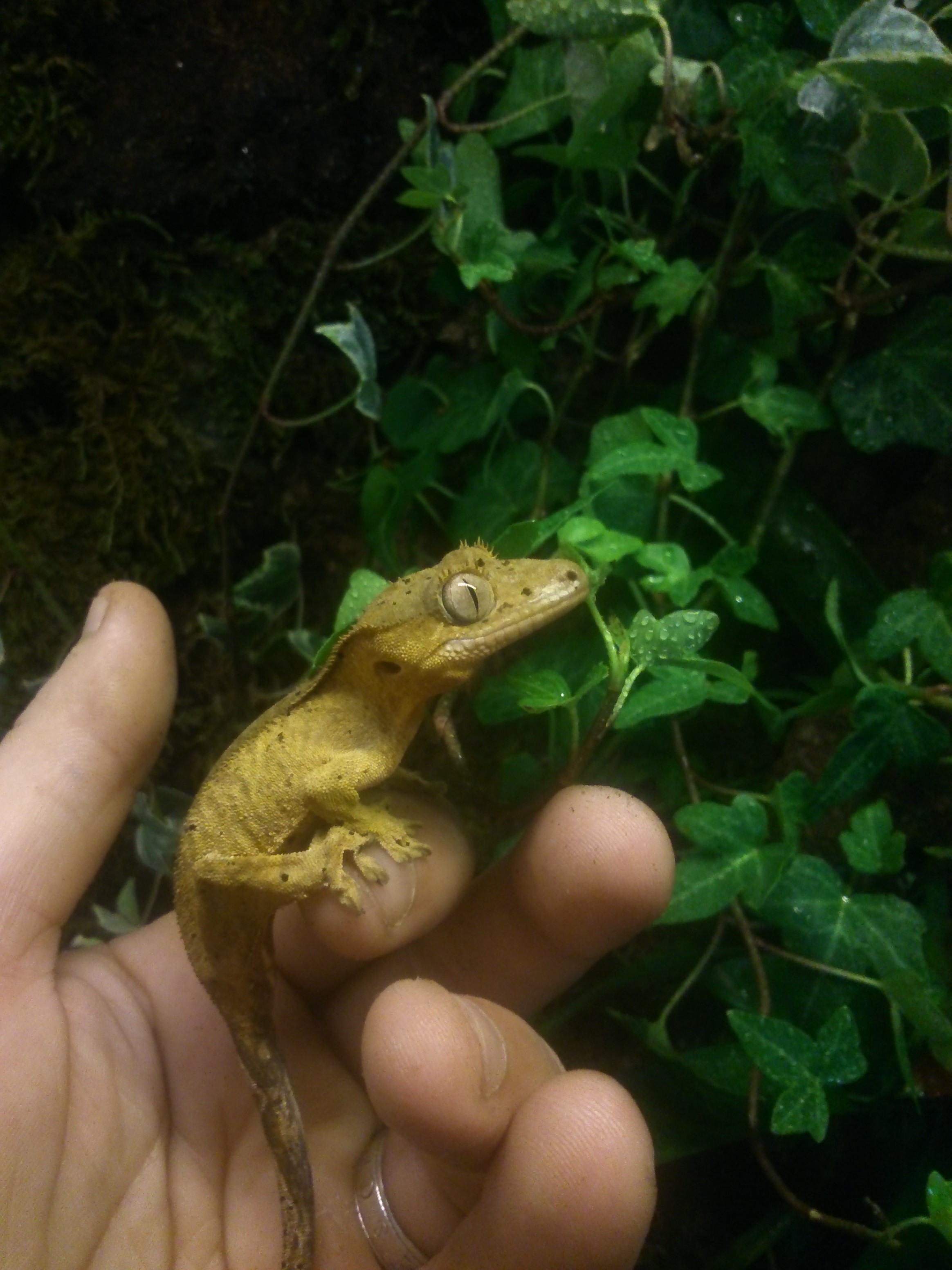 2013-12-31 10.35.24.jpg