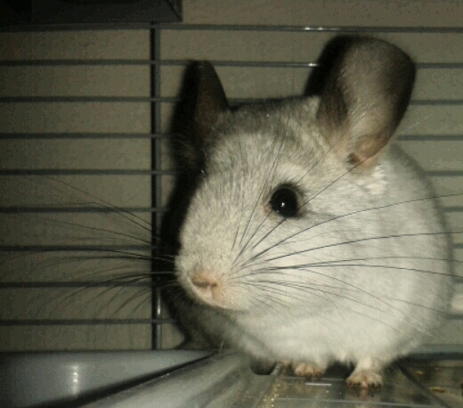 2014-01-23 10.32.17-1.jpg