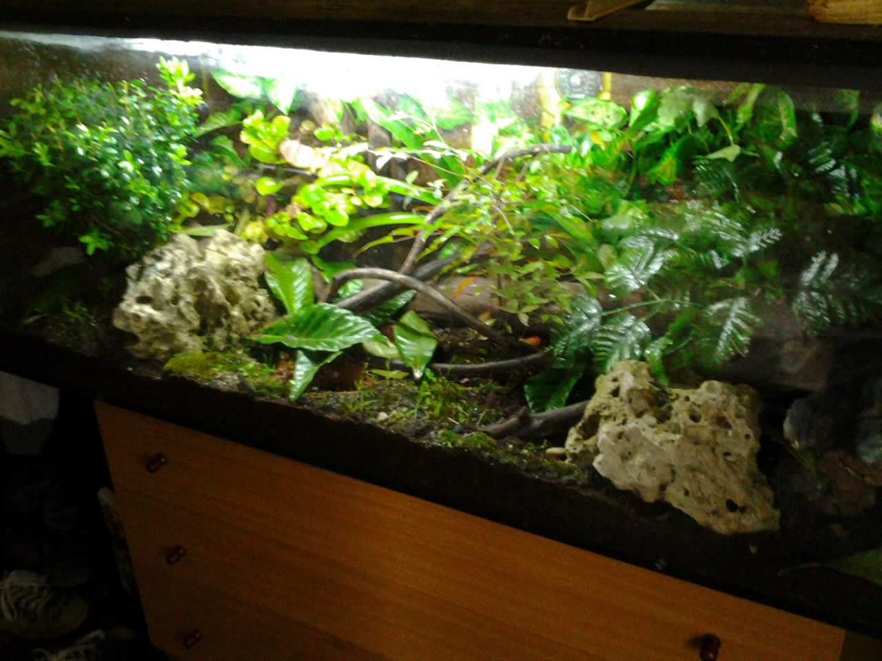 2014-04-11 08.25.01.jpg