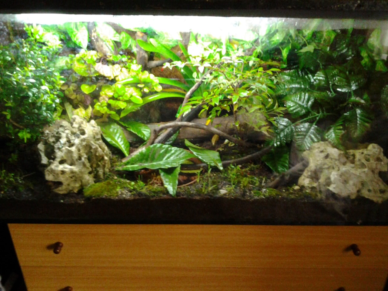 2014-04-11 08.25.41.jpg