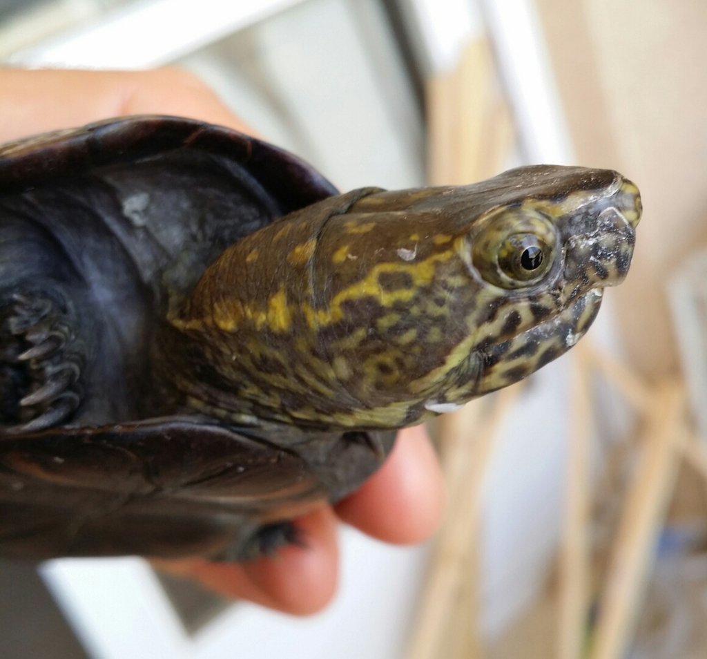 2014 06 21 16 27 02 1