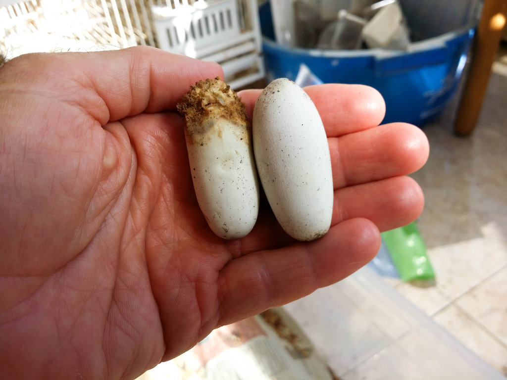 2014 07 07 10 20 36 1