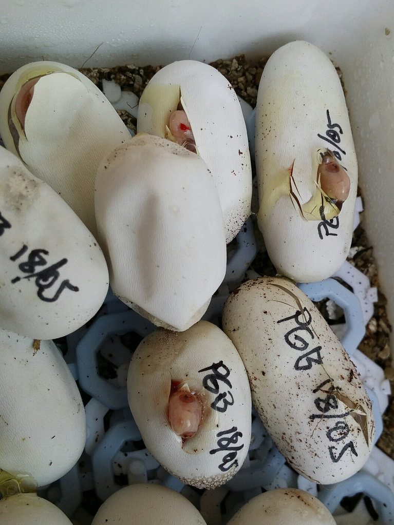 2014 07 18 14 17 33 1 1