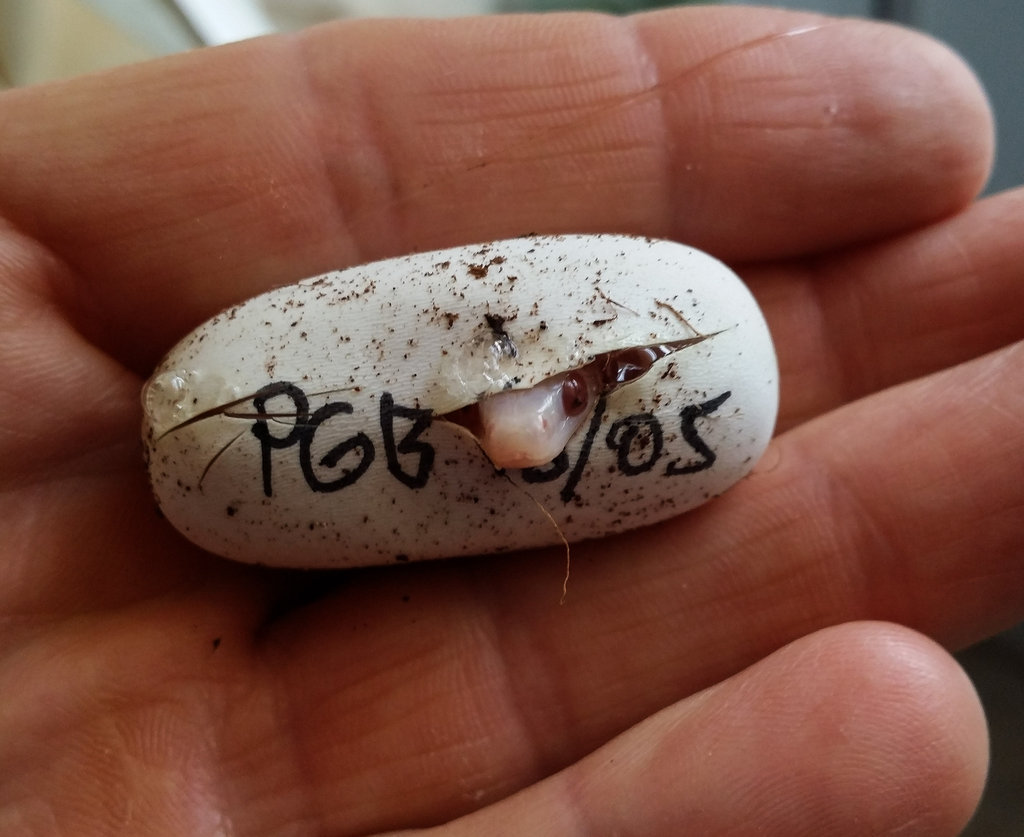 2014 07 18 18 53 36 1