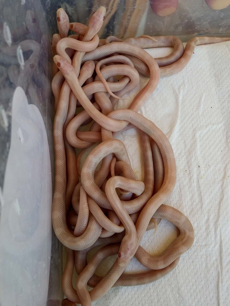 2014 07 22 15 30 45 1