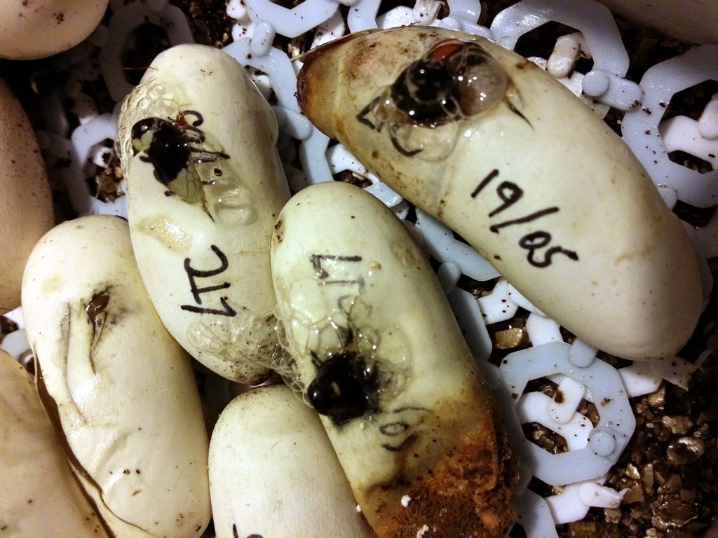 2014 07 23 06 06 43 1