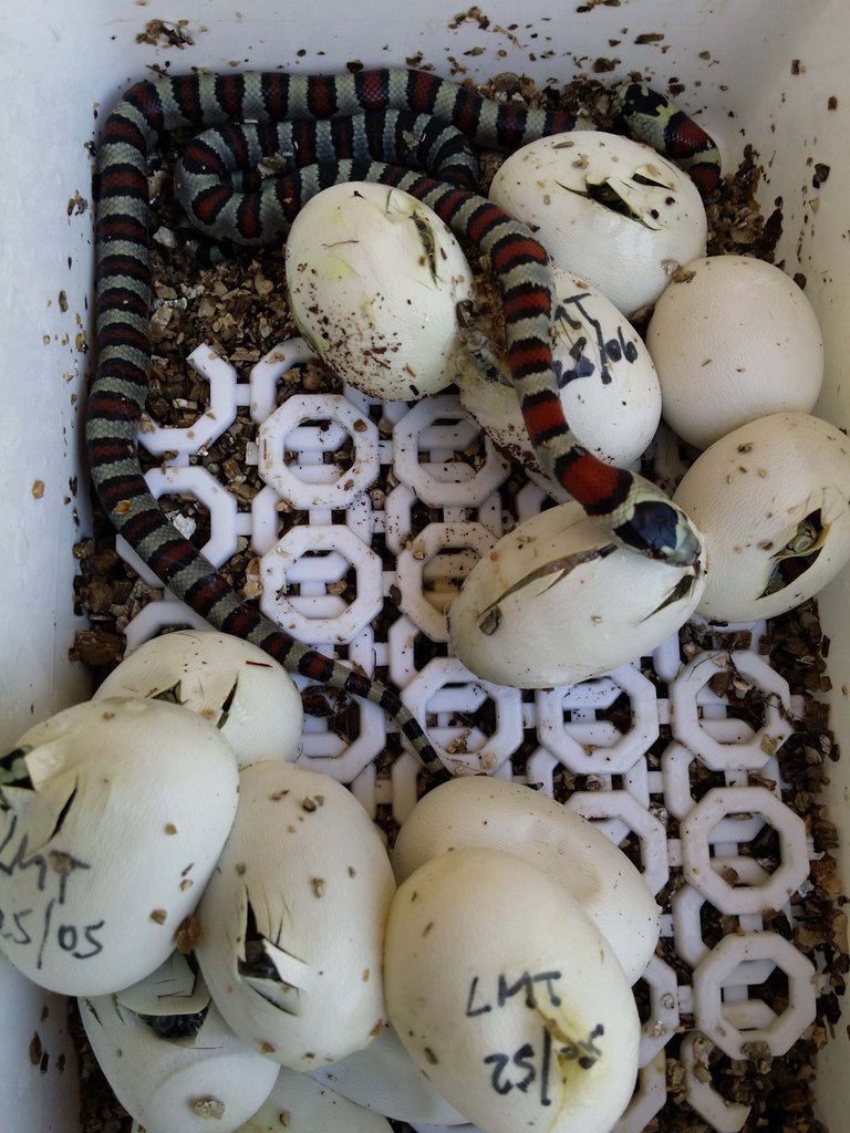 2014 07 24 14 14 12 1