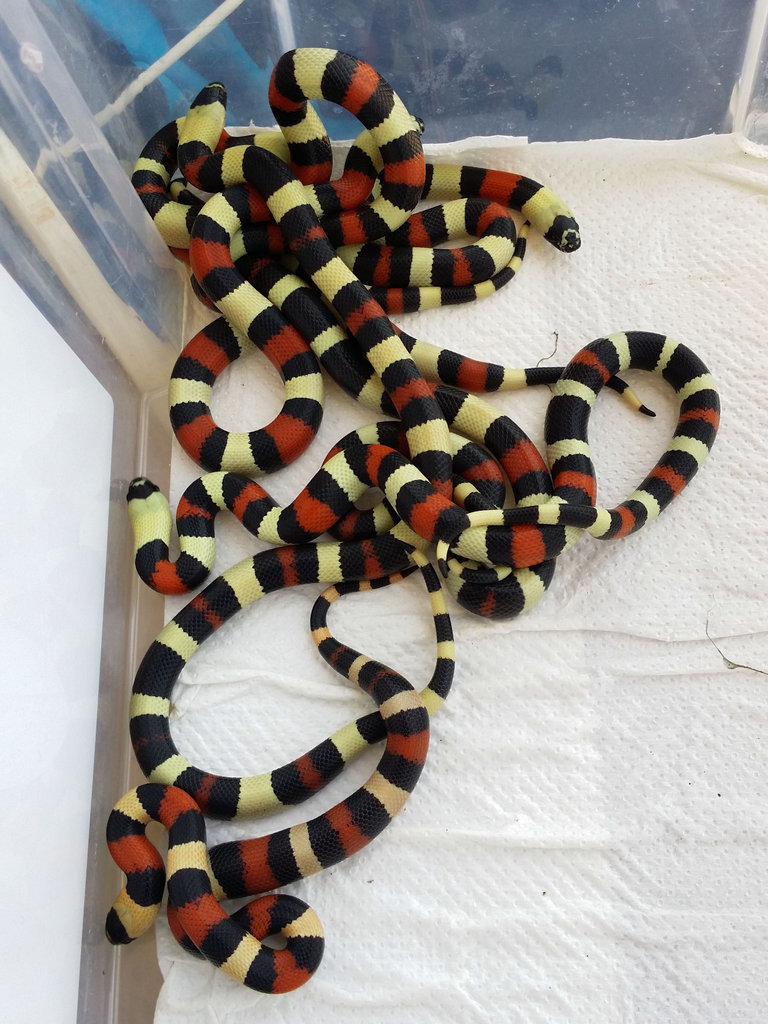 2014 07 24 15 31 27 1