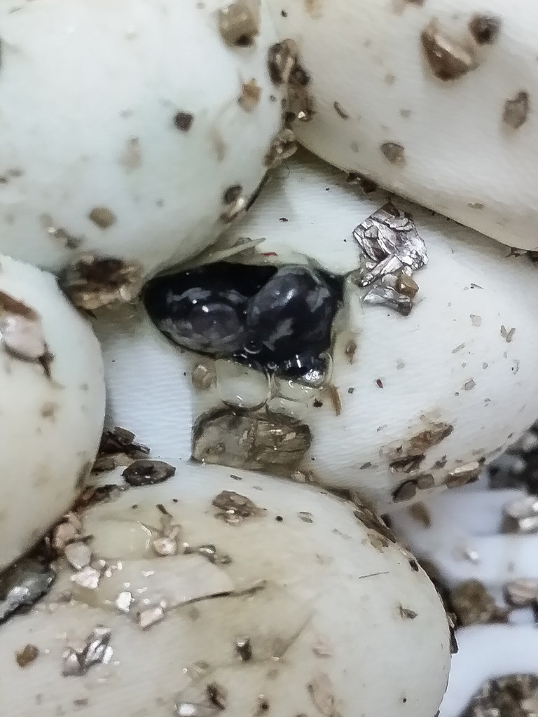 2014 07 25 14 25 36 1