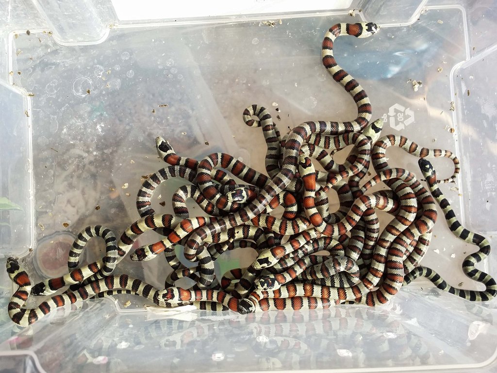 2014 07 26 08 59 05 1