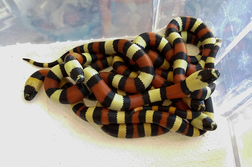 2014 07 30 16 18 21 1