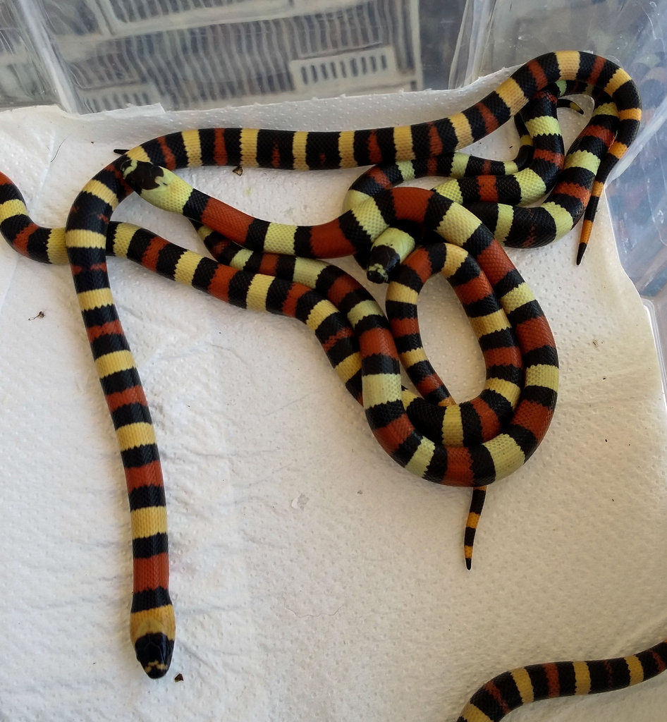 2014 07 30 16 19 34 1