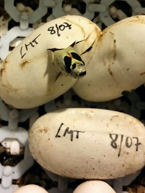 2014 08 30 21 53 05 1