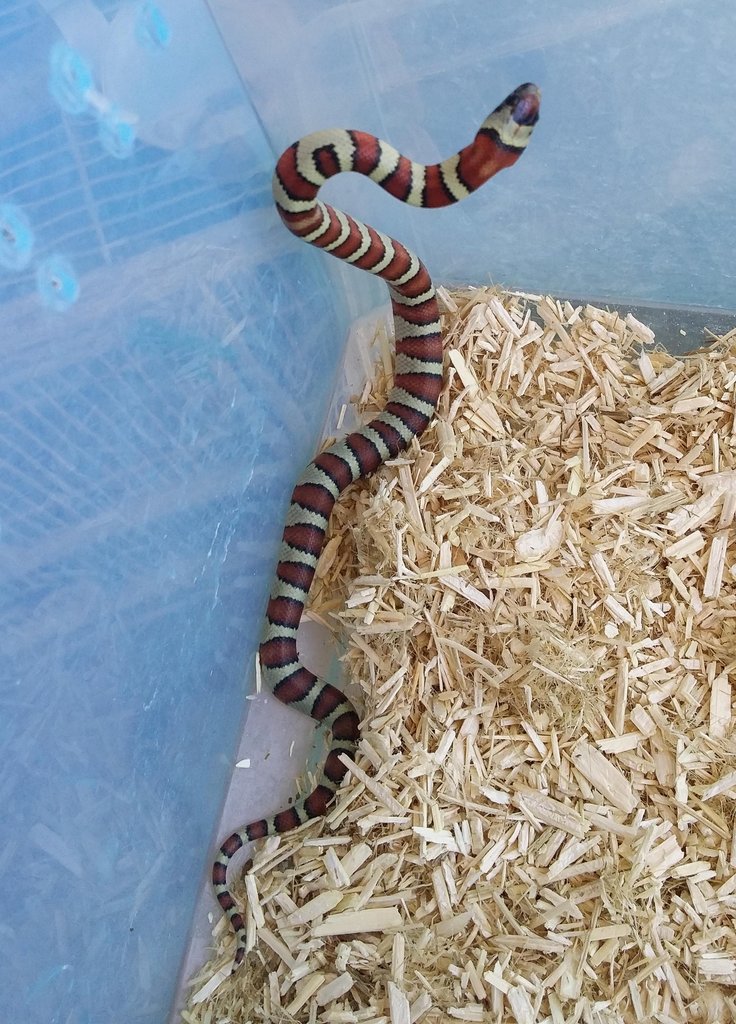 2014 09 02 13 54 32 1