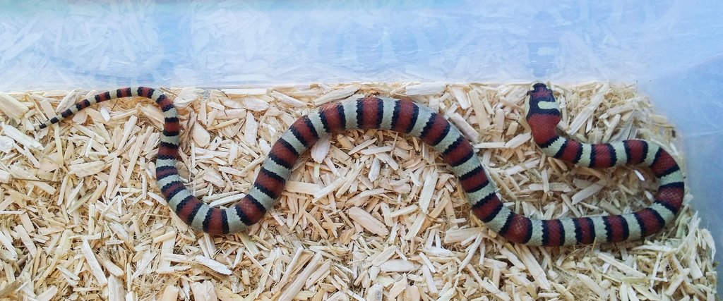 2014 09 02 13 58 06 1