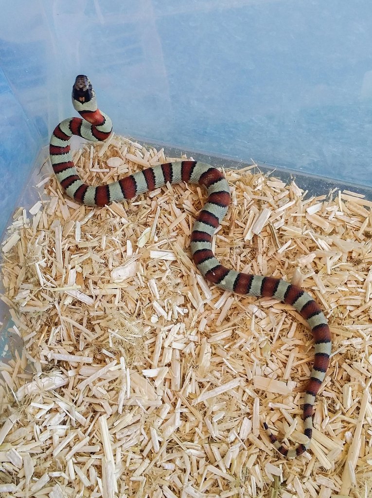 2014 09 02 13 58 40 1