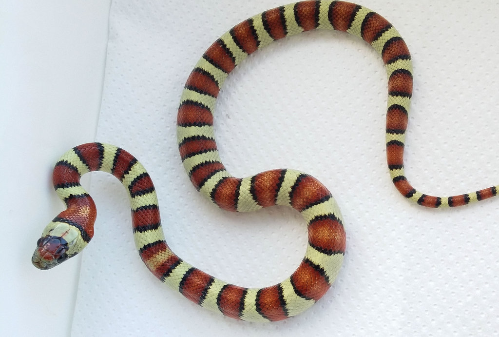 2014 09 29 16 39 38 1