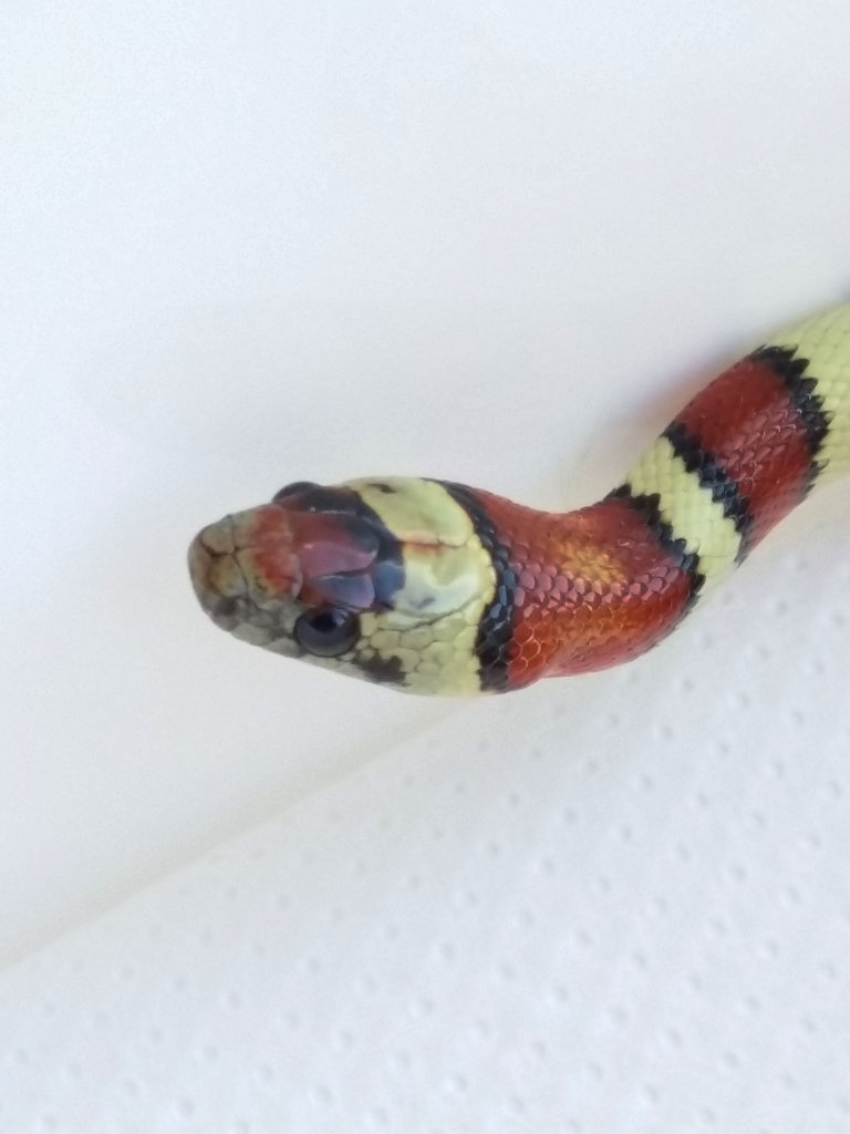 2014 09 29 16 40 24 1