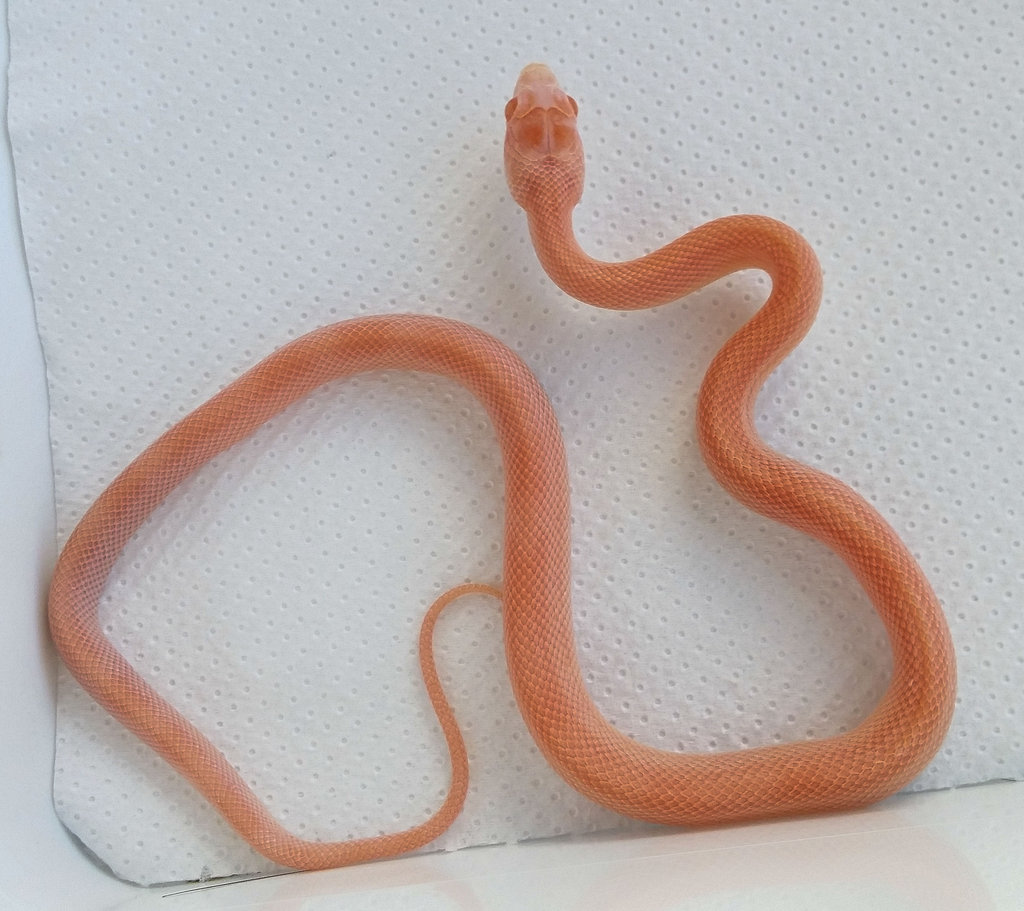 2014 09 29 16 43 05 1