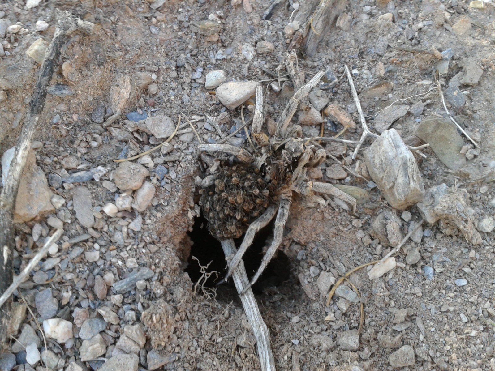 2014-10-12 18.07.09.jpg