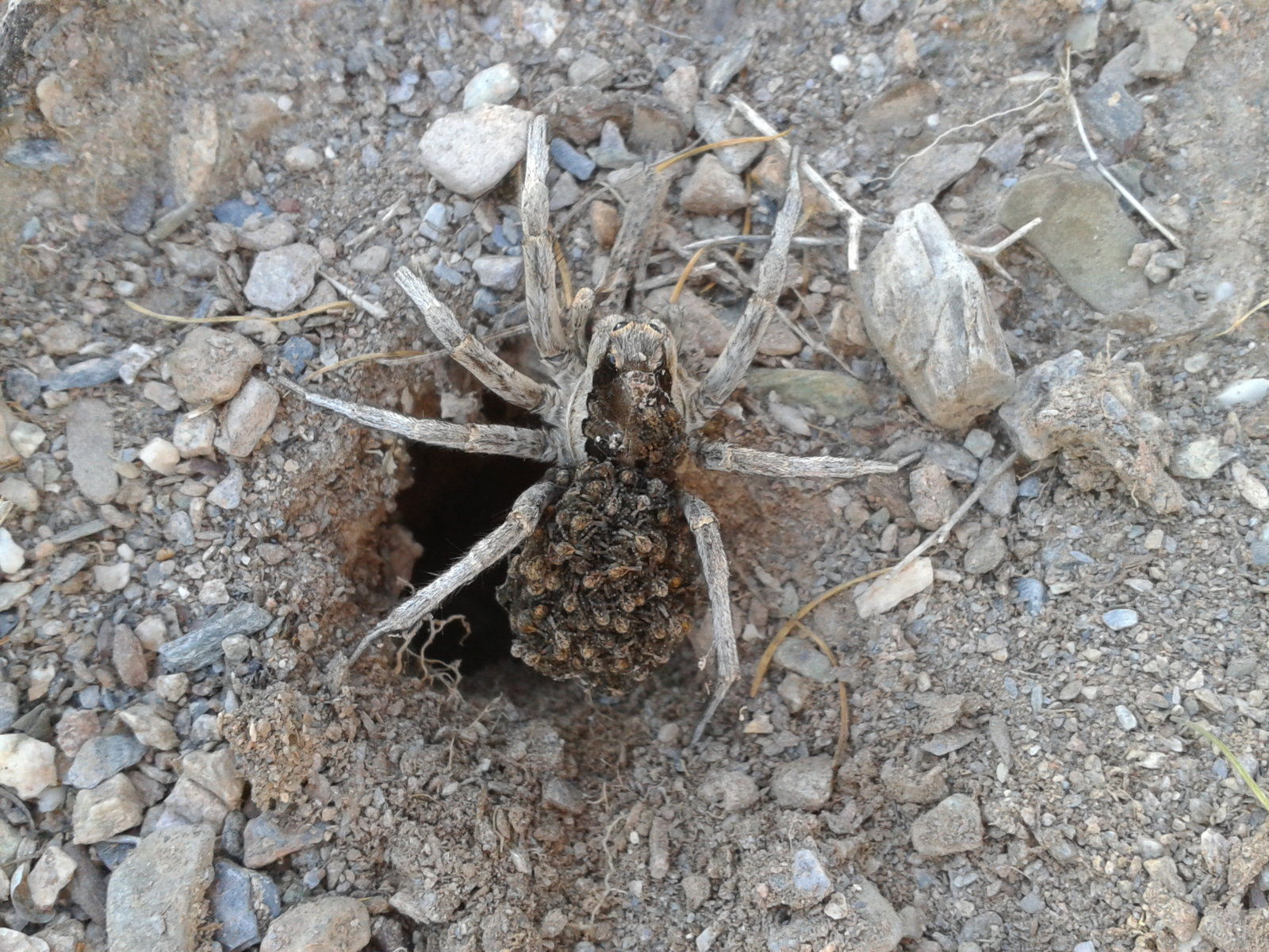 2014-10-12 18.07.22.jpg